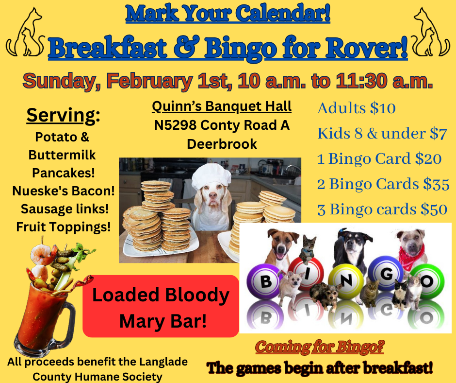 Breakfast and Bingo at Quinn's!