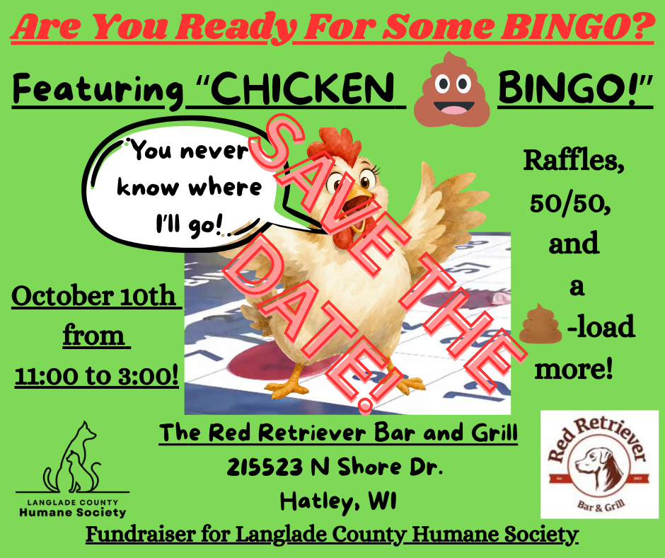 CHICKEN S*** BINGO!!!
