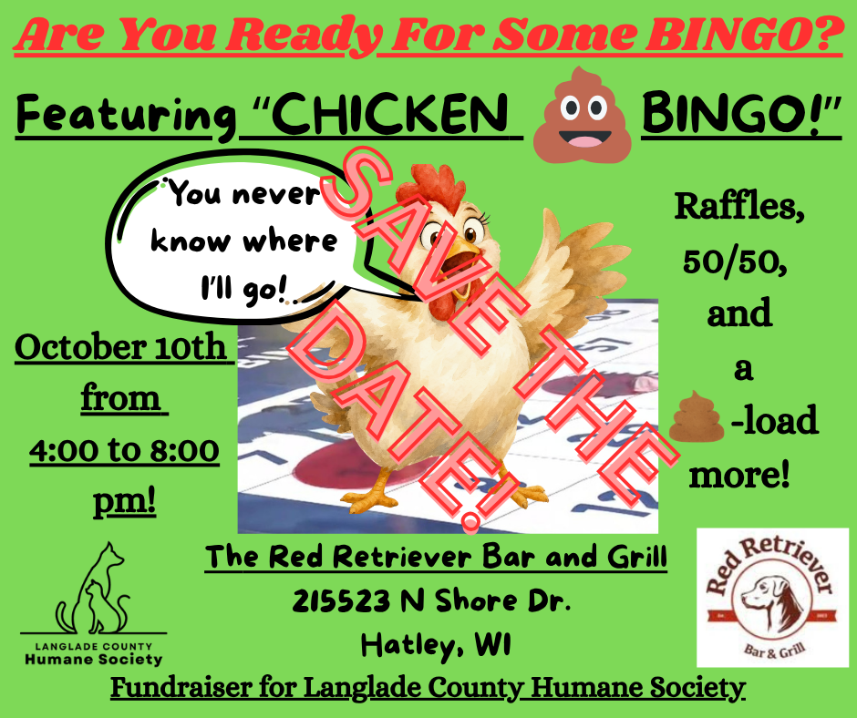 Chicken sh** bingo