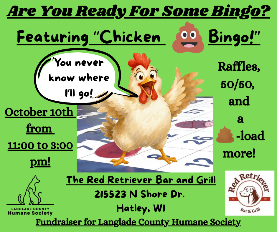 save the date bingo