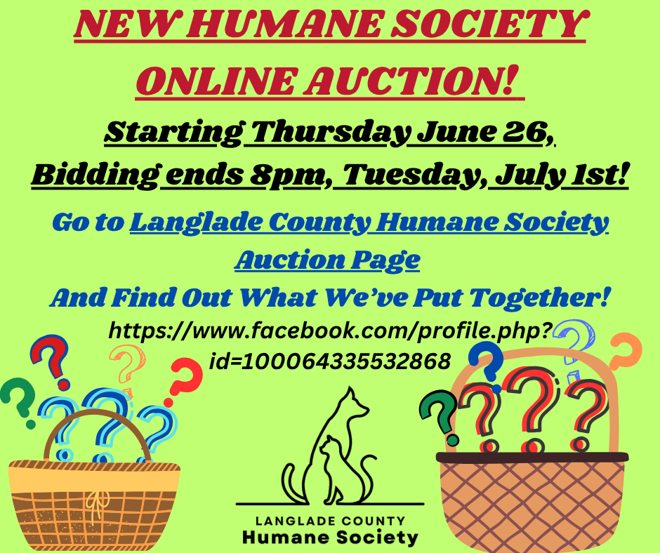 auction