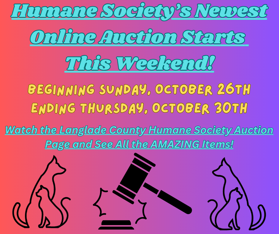 online auction