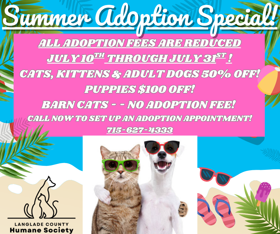 Adoption Special